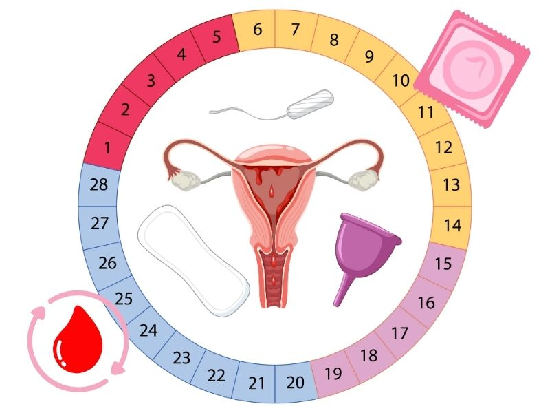 Quan Hệ Lần Đầu Có Bị Chậm Kinh Không