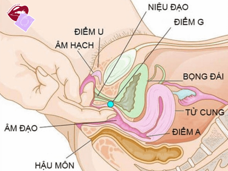 Điểm G mở ra một đỉnh điểm khoái cảm hoàn toàn khác biệt.
