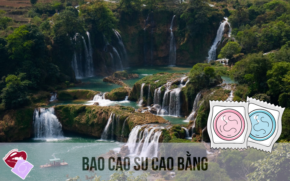 bao cao su Cao Bằng