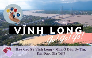bao-cao-su-vinh-long