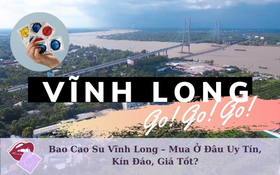 bao-cao-su-vinh-long