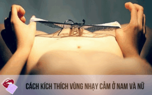 Vùng nhạy cảm