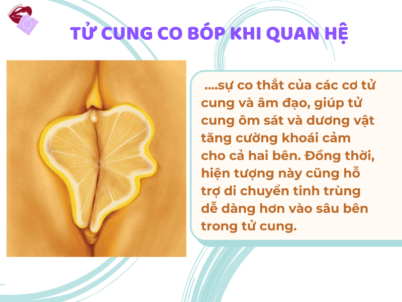 Co Bóp Tử Cung Khi Quan Hệ