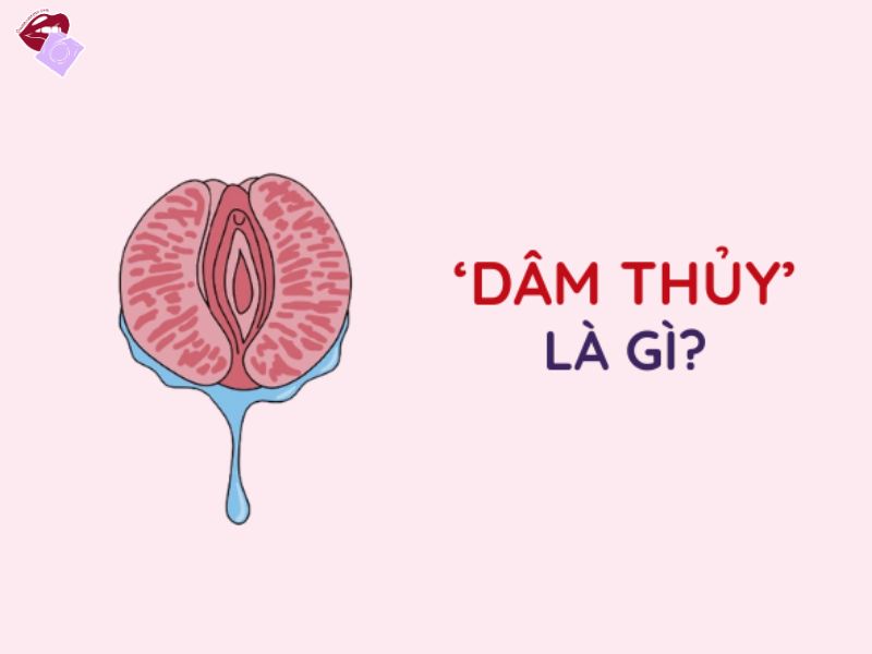 Dâm Thủy Là Gì