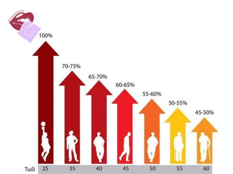 Tuổi tác và sự khác biệt sinh học