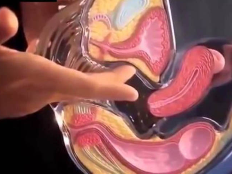 Cơ Chế Khoái Cảm Của Kỹ Thuật Móc Cua